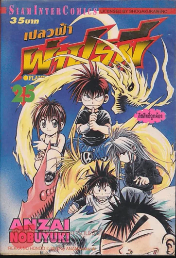 เปลวฟ้าผ่าปฐพี เล่ม 25 รูปที่ 1