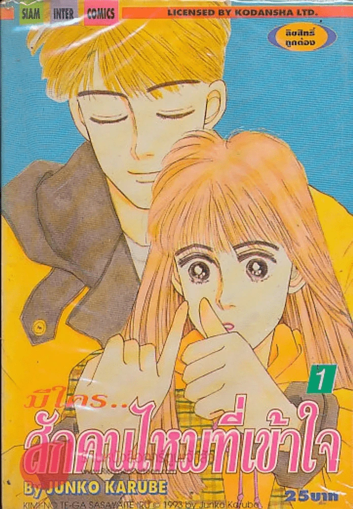 มีใคร..สักคนไหมที่เข้าใจ เล่ม 1 รูปที่ 1