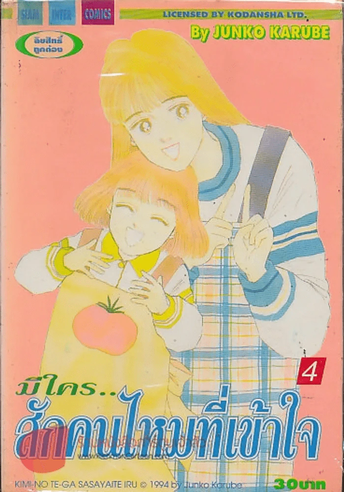 มีใคร..สักคนไหมที่เข้าใจ เล่ม 4 รูปที่ 1