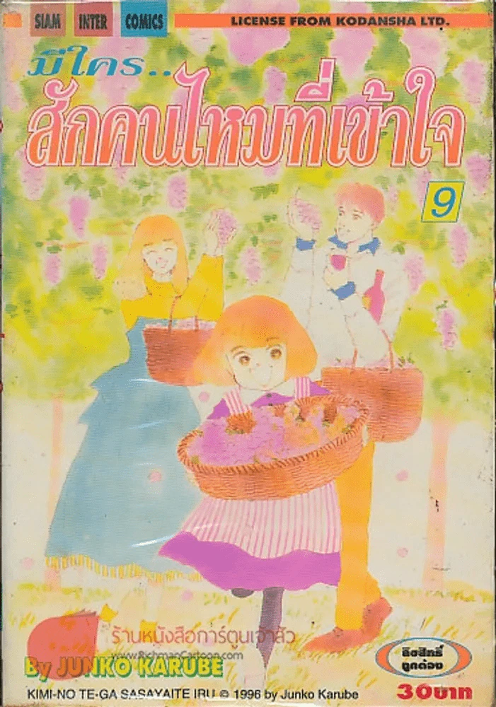 มีใคร..สักคนไหมที่เข้าใจ เล่ม 9 รูปที่ 1