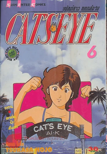 CAT'S EYE พยัคฆ์สาว แคทส์อาย เล่ม 6 รูปที่ 1