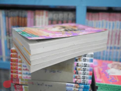 เจ้าหญิงจริงๆนะเออ 5 เล่มจบ รูปที่ 4