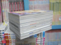 VS ชีวิตบนเส้นลวด 7เล่มจบ รูปที่ 4