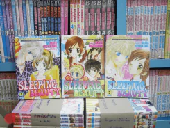 Sleeping Beauty 3 เล่มจบ รูปที่ 1