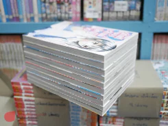 รักแท้ของเจ้าแม่นักบู๊ 13 เล่มจบ(ขาดเล่ม 11-13) รูปที่ 1