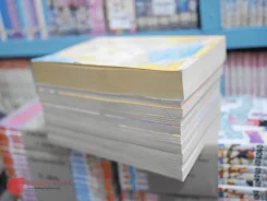 เมื่อคุณหญิงจอมแก่นแต่งงาน, เมื่อคุณหญิงจอมแก่นแต่งงาน ครบชุด รูปที่ 1