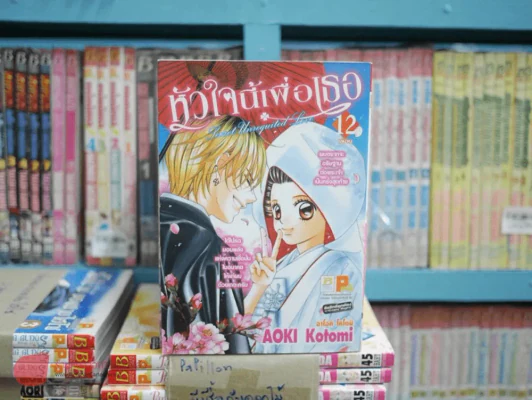 หัวใจนี้เพื่อเธอ 12 เล่มจบ รูปที่ 3