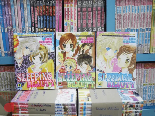 Sleeping Beauty 3 เล่มจบ รูปที่ 1
