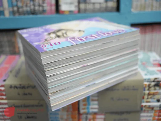 First Love 10 เล่มจบ รูปที่ 1