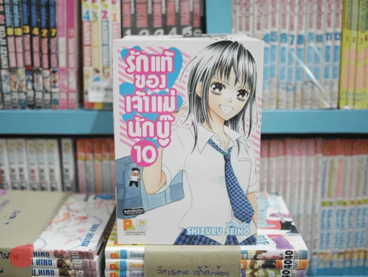 รักแท้ของเจ้าแม่นักบู๊ 13 เล่มจบ(ขาดเล่ม 11-13) รูปที่ 3