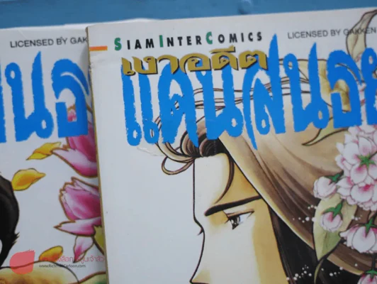 เงาอดีตแดนสนทยา 4 เล่มจบ รูปที่ 1
