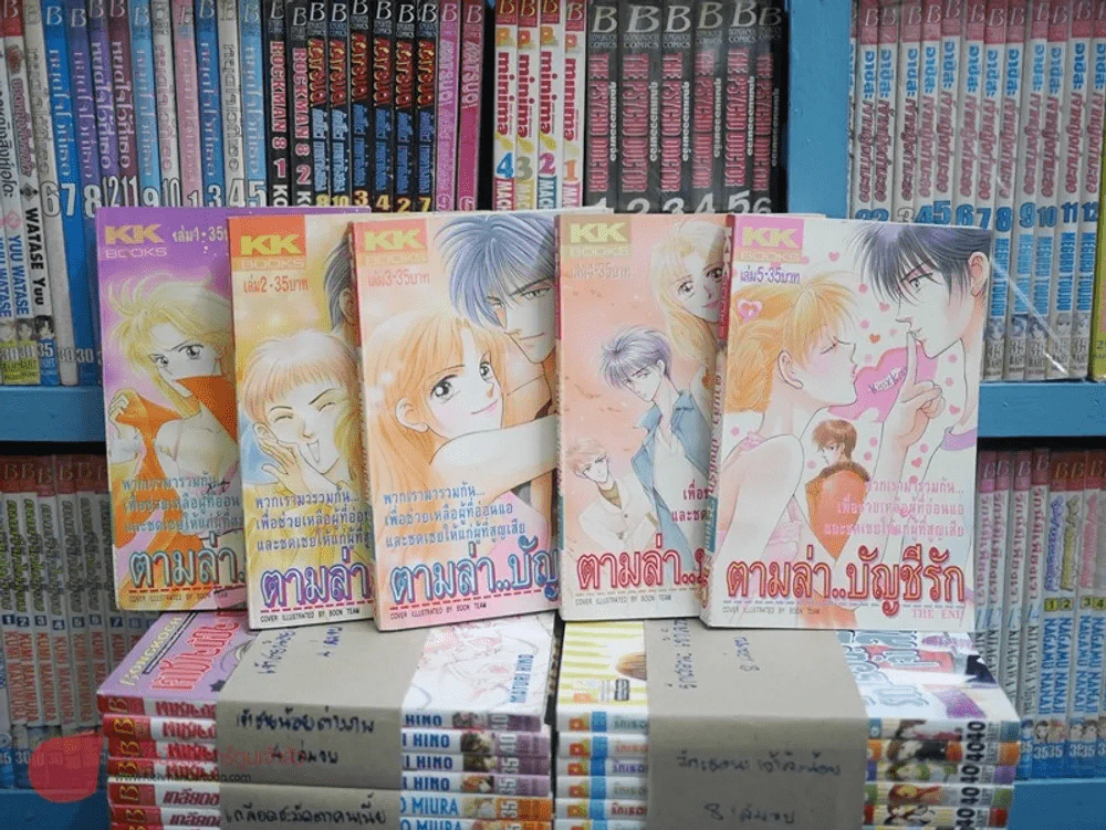 ตามล่าบัญชีรัก 5 เล่มจบ รูปที่ 1