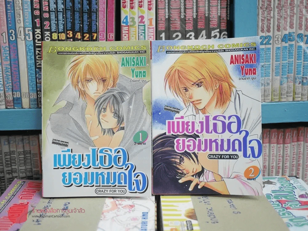 เพียงเธอยอมหมดใจ 2 เล่มจบ รูปที่ 1