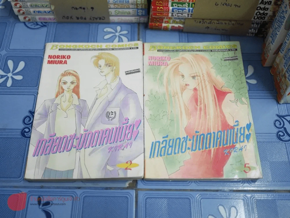 เกลียดชะมัดตาคนเนี๊ย 10 เล่มจบ (เล่ม2,5เป็นหนังสือเช่า นอกนั้นมือสองสภาพดี) รูปที่ 1