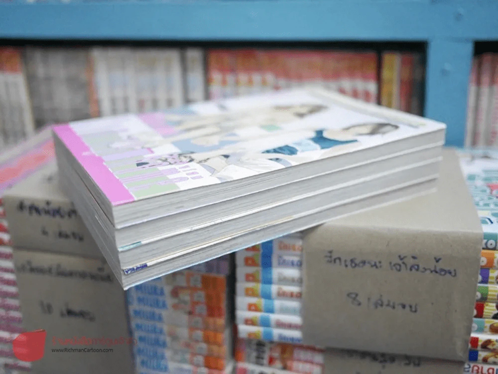 Coming Home 4 เล่มจบ รูปที่ 2
