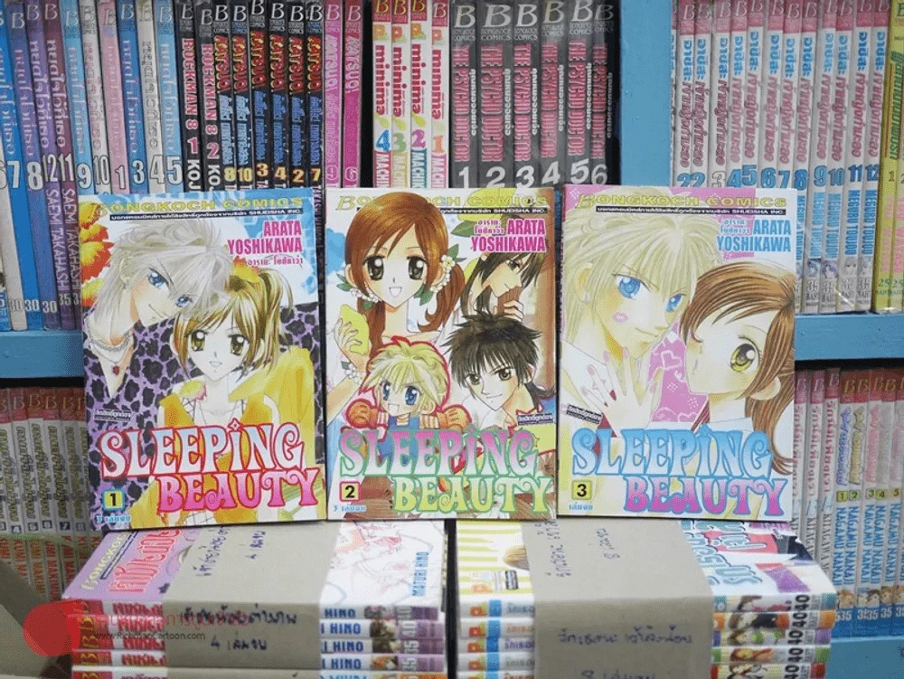 Sleeping Beauty 3 เล่มจบ รูปที่ 1