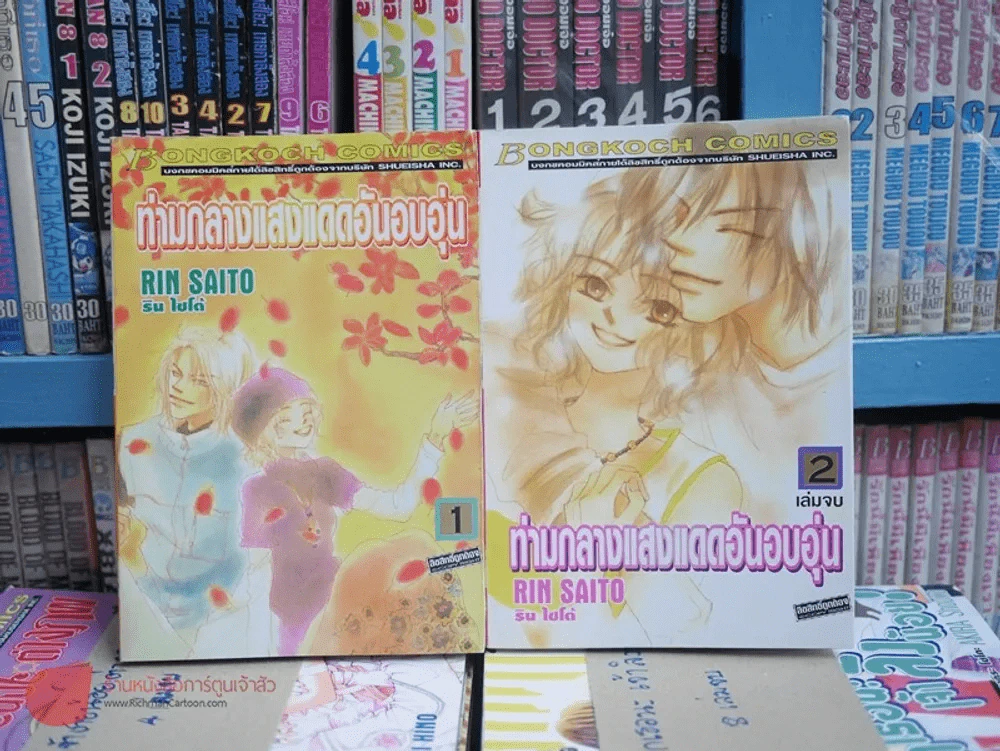 ท่ามกลางแสงแดดอันอบอุ่น 2 เล่มจบ รูปที่ 1