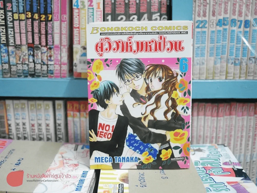 คู่วิวาห์มหาป่วน เล่ม 1-6 รูปที่ 3