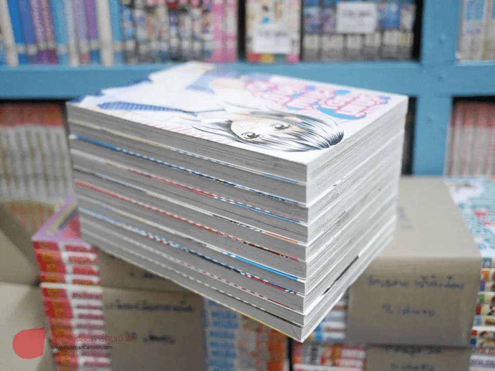 รักแท้ของเจ้าแม่นักบู๊ 13 เล่มจบ(ขาดเล่ม 11-13) รูปที่ 1