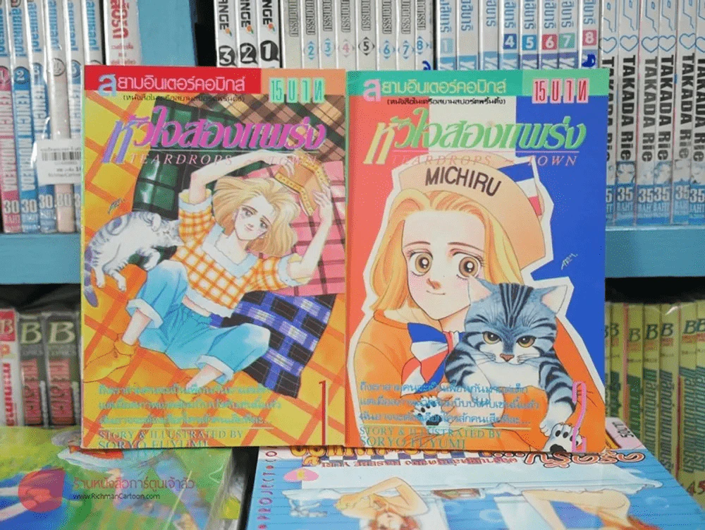 หัวใจสองแพร่ง เล่ม 1-2 รูปที่ 1