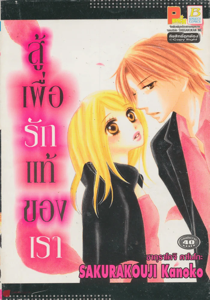 สู้เพื่อรักแท้ของเรา รูปที่ 1