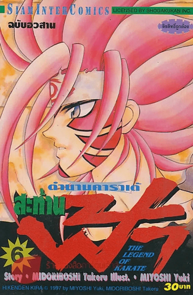 ตำนานคาราเต้สะท้านฟ้า เล่ม 6 รูปที่ 1