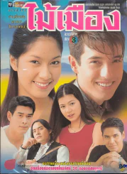 ไม้เมือง