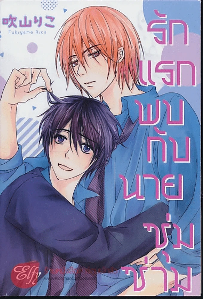 รักแรกพบกับนายซุ่มซ่าม รูปที่ 1