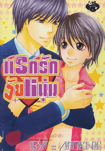 แรกรักวัยหนุ่ม รูปที่ 1