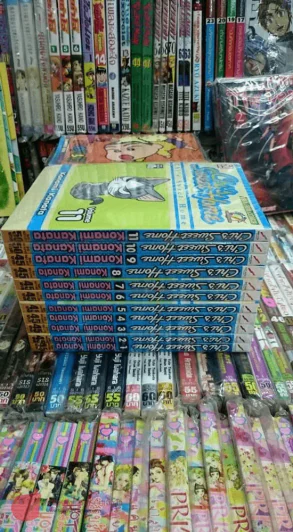 Chi's Sweet Home เล่ม 1-11 รูปที่ 1