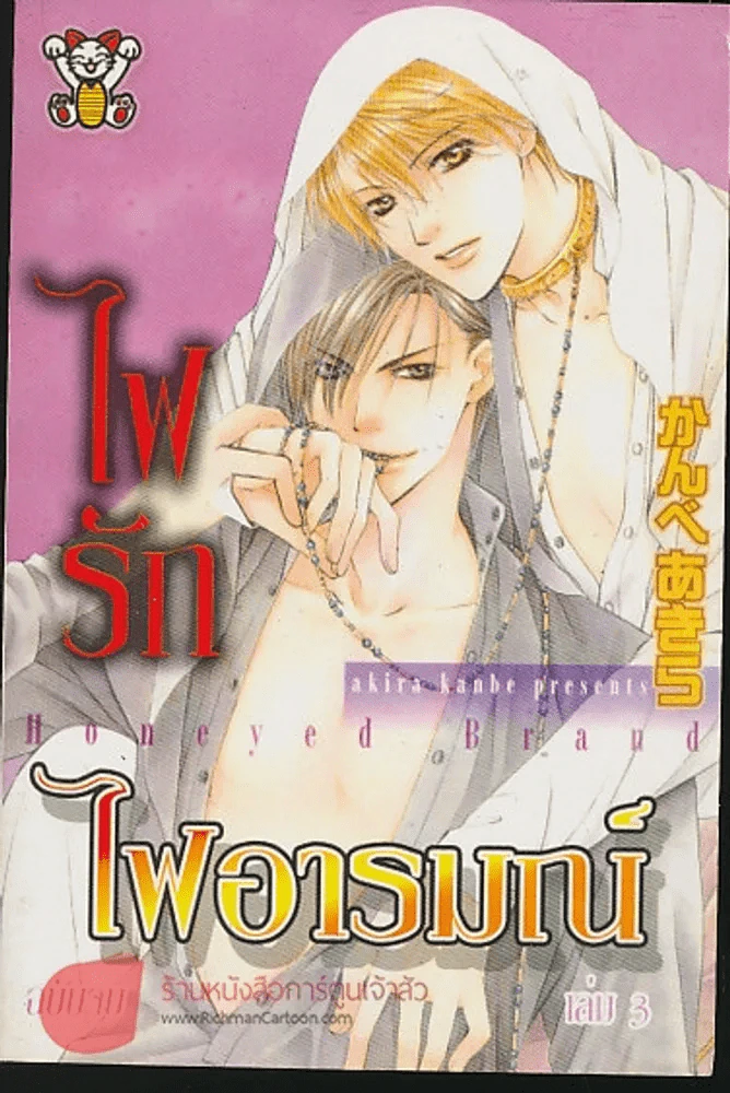 ไฟอารมณ์ เล่ม 3 รูปที่ 1