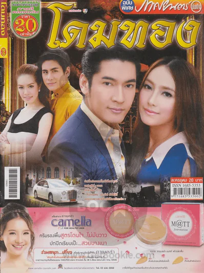 โดมทอง รูปที่ 1
