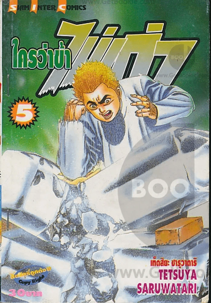 ใครว่าข้าไม่เก่ง เล่ม 5 รูปที่ 1