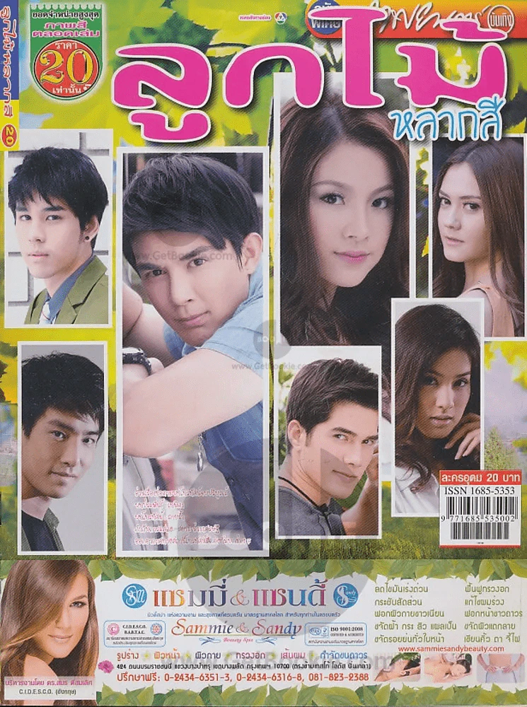 ลูกไม้หลากสี รูปที่ 1