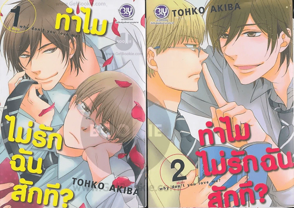 ทำไมไม่รักฉันสักที 2 เล่มจบ รูปที่ 1