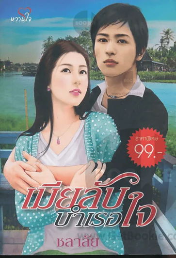เมียลับบำเรอใจ รูปที่ 1