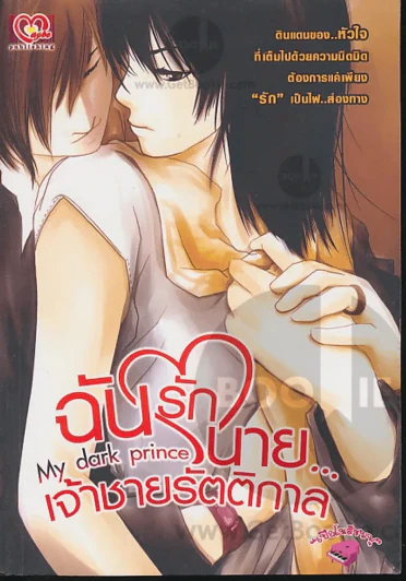 ฉันรักนาย...เจ้าชายรัตติกาล My dark prince รูปที่ 1