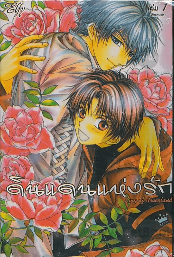 ดินแดนแห่งรัก เล่ม 1 รูปที่ 1