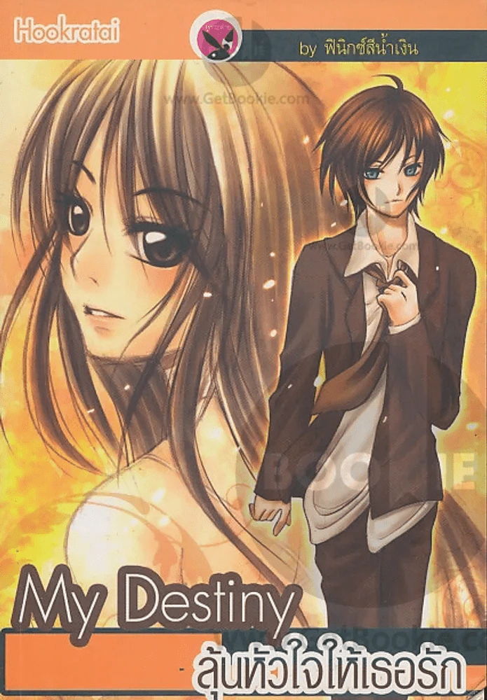 My Destiny ลุ้นหัวใจให้เธอรัก รูปที่ 1