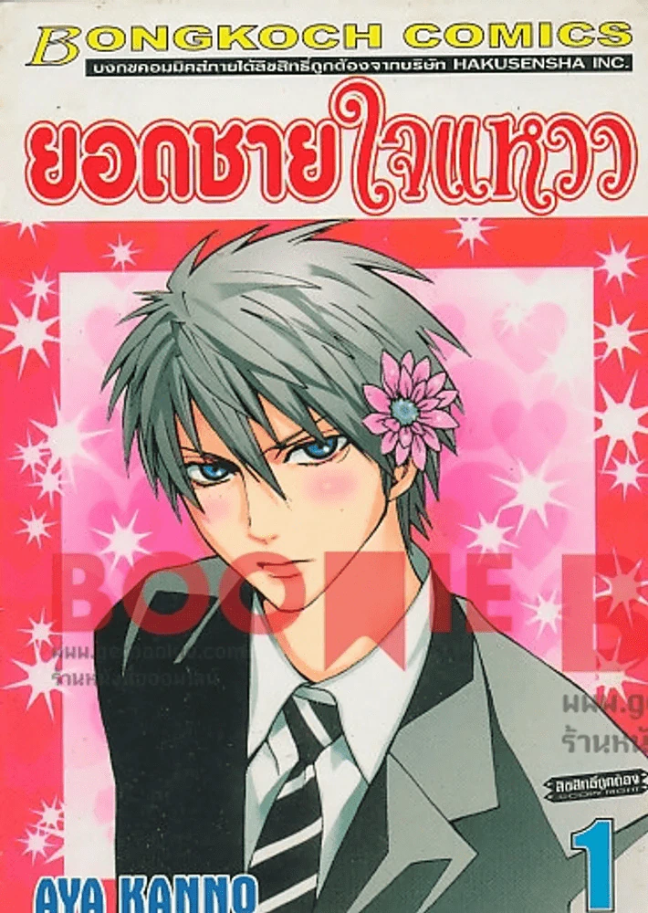 ยอดชายใจแหวว เล่ม 1 รูปที่ 1