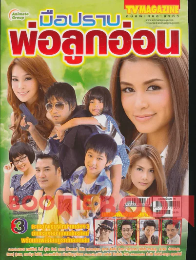 มือปราบพ่อลูกอ่อน รูปที่ 1
