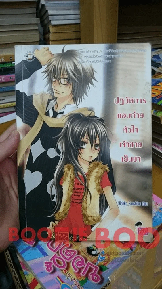 ปฎิบัติการแอบถ่ายหัวใจเจ้าชายเย็นชา รูปที่ 2