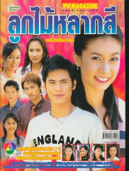 ลูกไม้หลากสี รูปที่ 1