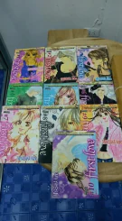 First Love 10 เล่มจบ (หนังสือบ้านสภาพปานกลาง) รูปที่ 1