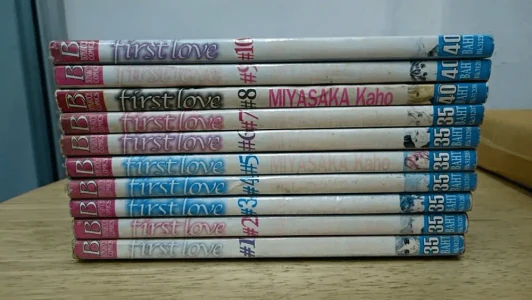 First Love 10 เล่มจบ (หนังสือจากร้านเช่า) รูปที่ 3