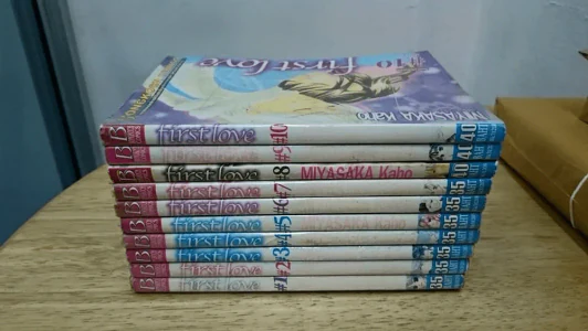 First Love 10 เล่มจบ (หนังสือจากร้านเช่า) รูปที่ 2