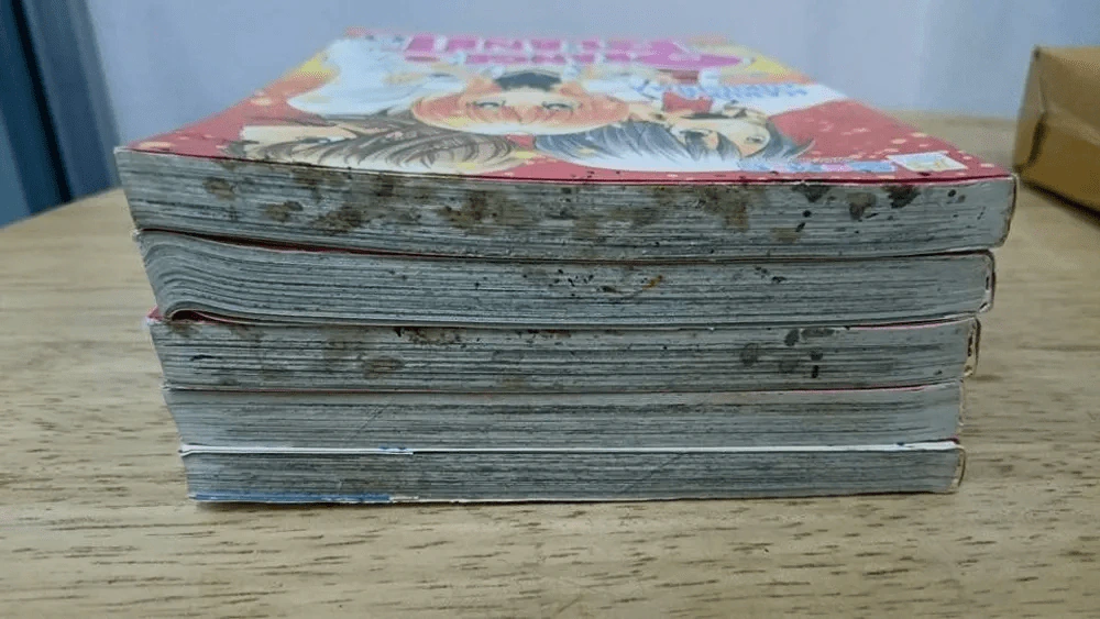 Orange Planet 5 เล่มจบ รูปที่ 5