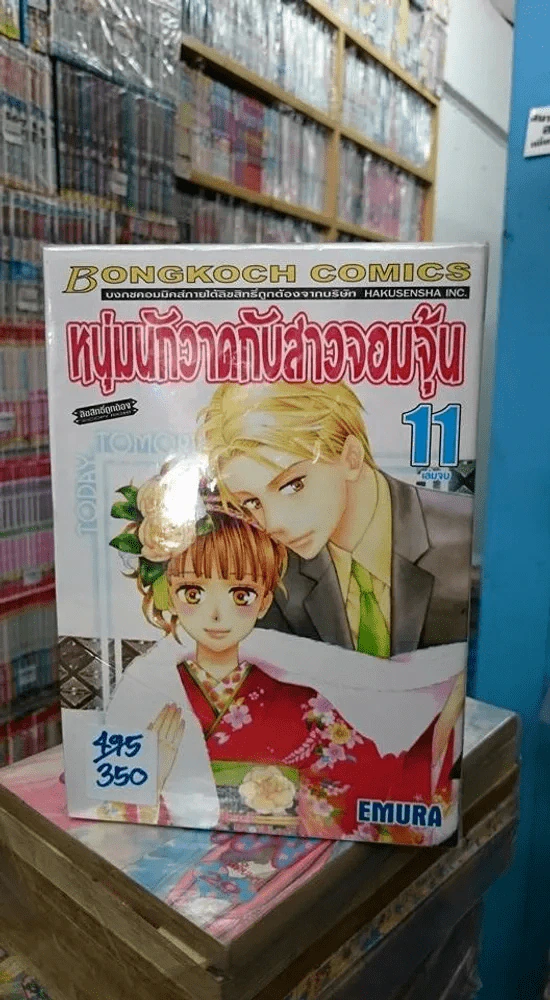 หนุ่มนักวาดกับสาวจอมจุ้น 11 เล่มจบ รูปที่ 2