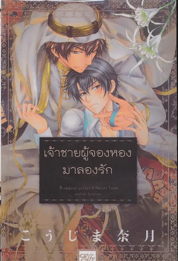 เจ้าชายผู้จองหองมาลองรัก รูปที่ 1