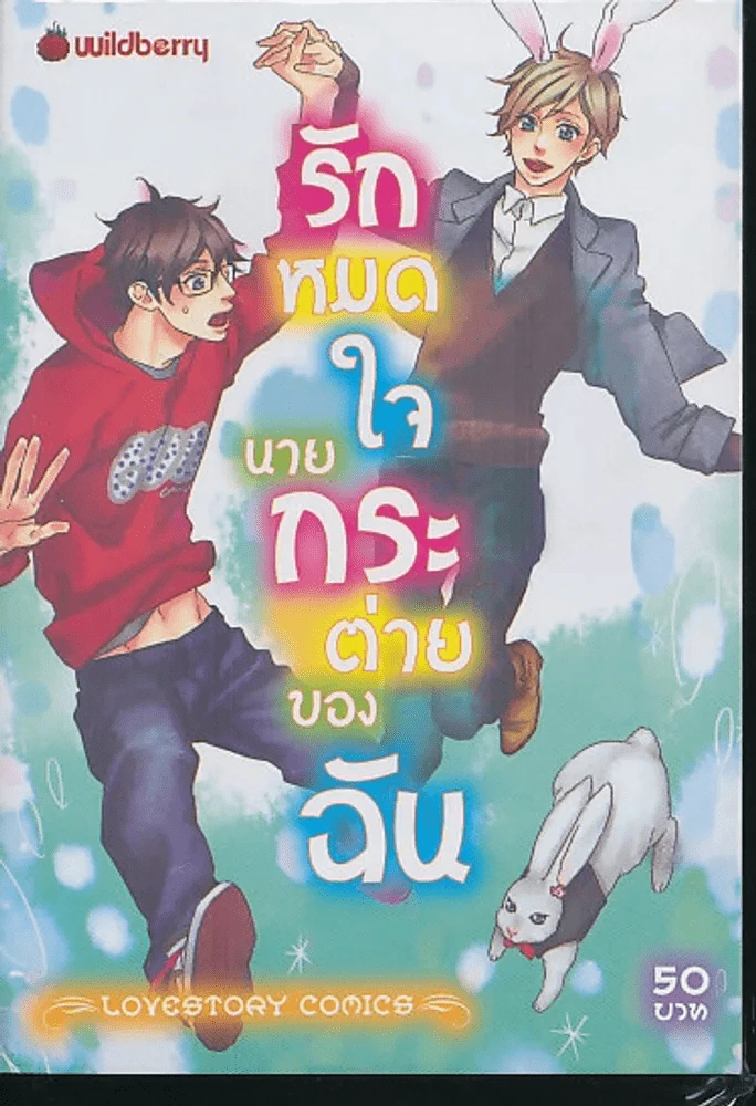 รักหมดใจนายกระต่ายของฉัน รูปที่ 1